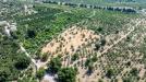 Terreno Agricolo in vendita a Taormina in via francavilla snc - 09, Foto 9