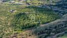 Terreno Agricolo in vendita a Melilli in strada provinciale 2 0 - 02, Foto 2
