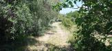 Terreno Agricolo in vendita a Acireale in via reina 6 - 07, Foto 7