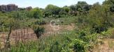 Terreno Agricolo in vendita a Acireale in via reina 6 - 09, Foto 9
