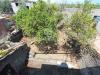 Casa indipendente in vendita con giardino a Acireale in via sciarelle 248 - 03, Foto 3