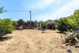 Terreno Agricolo in vendita a Zafferana Etnea in via dei garofani 10 - 10, Foto 10