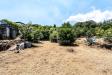 Terreno Agricolo in vendita a Zafferana Etnea in via dei garofani 10 - 02, Foto 2