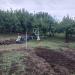 Terreno Agricolo in vendita a Zafferana Etnea in via presti - 09, Foto 9