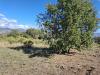 Terreno Agricolo in vendita a Castiglione di Sicilia - 03, Foto 3