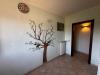 Appartamento in vendita con giardino a Mirandola - 10, Foto 10