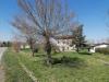 Terreno Edificabile in vendita a Mirandola - 04, Foto 4