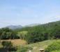 Terreno Agricolo in vendita da ristrutturare a Genova in via acquasanta snc - 03, 2.jpg