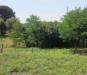 Terreno Agricolo in vendita da ristrutturare a Genova in via acquasanta snc - 06, 5.jpg
