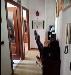 Appartamento in vendita da ristrutturare a Torino in via nicol barberis 5 - 03, 3.jpg