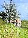 Casa indipendente in vendita con giardino a Lumarzo in frazione pannesi 41 - 04, CASA E TERRENO VERT.jpg