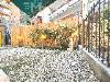 Appartamento in vendita con terrazzo a Recco in piazzale goffredo mameli 8 - 03, TERRAZZO GIARDINO