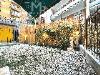 Appartamento in vendita con terrazzo a Recco in piazzale goffredo mameli 8 - 04, TERRAZZO GIARDINO CON TENDA