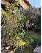 Casa indipendente in vendita con giardino a Gossolengo in via f. subacchi - 04, Foto 4
