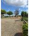 Casa indipendente in vendita con giardino a Rottofreno in strada corti 2 - 06, Foto 6