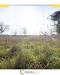 Rustico in vendita da ristrutturare a Altamura - via cassano - 06