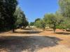 Locale commerciale in affitto con giardino a Monopoli in contrada aratico 354 - santa lucia - 03, parcheggi