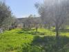 Terreno Agricolo in vendita a Mentana in via del romitorio 71 - 04, 4.jpg