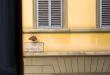 Appartamento in vendita a Firenze in via della scala 37 - 08, Foto 8