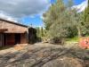Appartamento in vendita con giardino a Castelnuovo Berardenga in strada di mocenni - 04, Foto 4