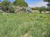 Terreno Agricolo in vendita a Enna in contrada lago pergusa snc - 03, Foto 3