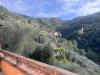 Casa indipendente in vendita con giardino a Ventimiglia in farzione verrandi snc - 03, Foto 3