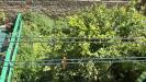 Appartamento in affitto con giardino a Ventimiglia in via sospello 8 - 08, Foto 8