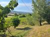 Terreno Agricolo in vendita a Montecchio Maggiore in via selva alta 95 - 02, VIT1