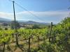 Terreno Agricolo in vendita a Montecchio Maggiore in via selva alta 95 - 03, VIT2
