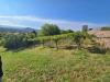 Terreno Agricolo in vendita a Montecchio Maggiore in via selva alta 95 - 06, VIT5