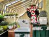 Villa in vendita con giardino a Viareggio - ex campo di aviazione - 03