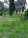 Casa indipendente in vendita con giardino a Sarzana - san lazzaro - 04