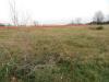 Terreno Edificabile in vendita a Pianezza - 04