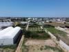 Terreno Agricolo in vendita a Villa Literno in madonna del loreto - 04, Foto 4