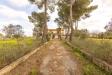 Villa in vendita con giardino a Francavilla Fontana in contrada torre 1 - 03, Foto 3