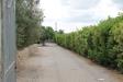 Villa in vendita con giardino a Corigliano d'Otranto in via per castrignano 1 - 02, Foto 2