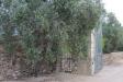 Villa in vendita con giardino a Corigliano d'Otranto in via per castrignano 1 - 05, Foto 5