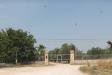 Villa in vendita con giardino a Copertino in provinciale s isidoro 1142 1142 - 04, Foto 4
