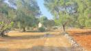 Rustico in vendita con giardino a Martina Franca in via martina franca 5555 - 03, Foto 3