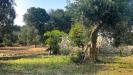 Rustico in vendita con giardino a Martina Franca in via martina franca 5555 - 06, Foto 6
