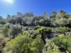 Appartamento in vendita a Monte Argentario in via del campone 2424 - 05, affaccio sul verde