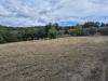 Terreno Agricolo in vendita a Civitella Paganico in localit la vena snc - civitella marittima - 03, terreno .jpg