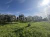 Terreno Agricolo in vendita a Grosseto in strada del querciolo - 04, foto3.jpg