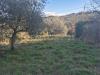 Casa indipendente in vendita da ristrutturare a Civitella Paganico in loclait fontepalma snc - civitella marittima - 02, foto 2.jpeg