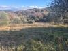 Casa indipendente in vendita da ristrutturare a Civitella Paganico in loclait fontepalma snc - civitella marittima - 03, foto 3.jpeg