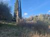Casa indipendente in vendita da ristrutturare a Civitella Paganico in loclait fontepalma snc - civitella marittima - 04, foto 4.jpeg