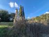 Casa indipendente in vendita da ristrutturare a Civitella Paganico in loclait fontepalma snc - civitella marittima - 06, foto 6.jpeg