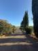 Rustico in vendita con giardino a Grosseto in via dei ponti neri - 02, bc3e8d14-eb32-4928-a9c2-fa60697afd34.jpeg