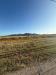 Terreno Agricolo in vendita a Grosseto in via dei ponti neri - 02, 4ac9e156-6a0c-49cc-ab34-7acb8056c9ac.jpeg