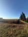 Terreno Agricolo in vendita a Grosseto in via dei ponti neri - 03, 8ee92159-b65d-486b-a6cf-2f6e2ec766d1.jpeg